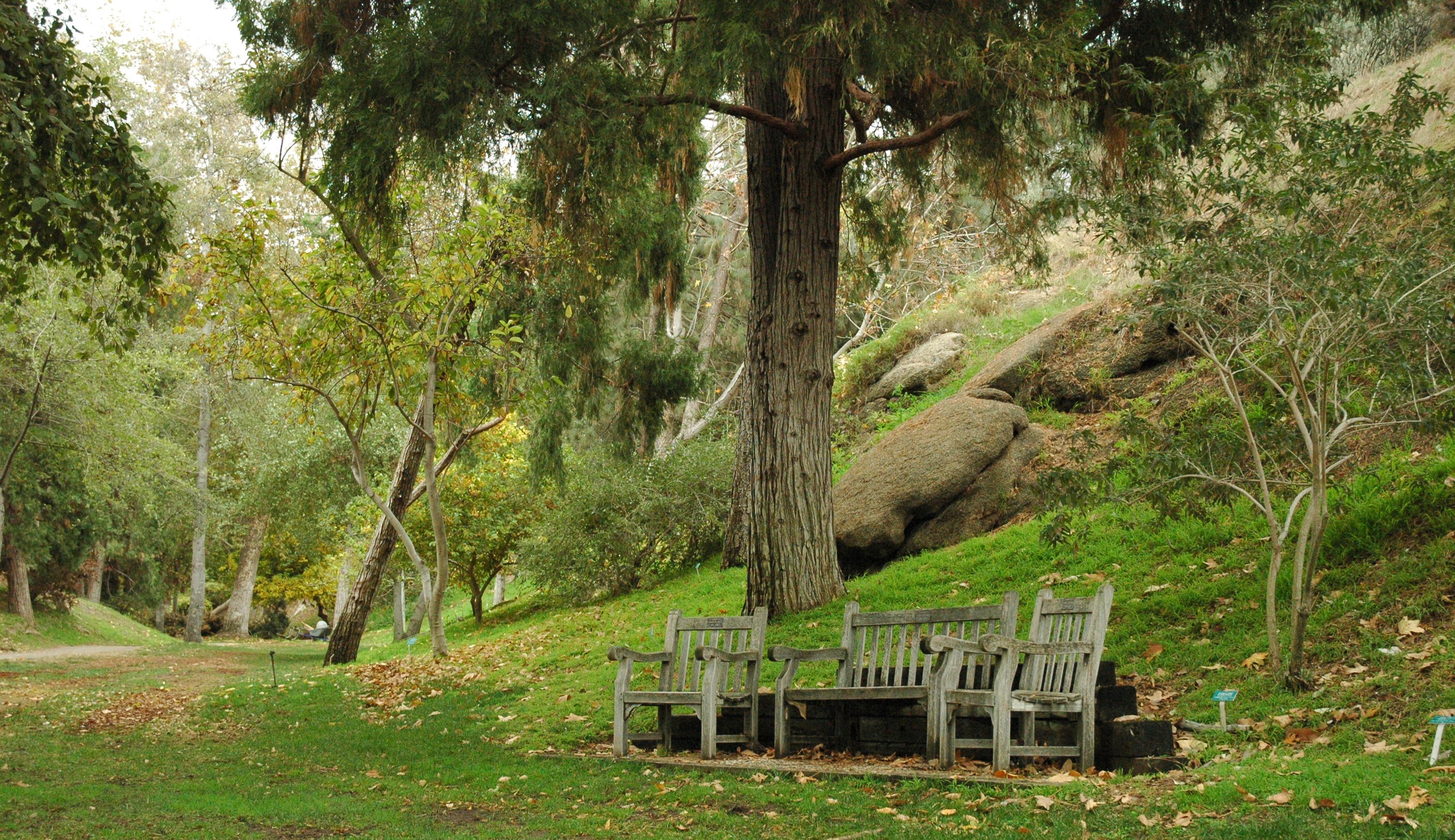 Serene scene of bench and chairs under a tree at the Botanical Gardens.