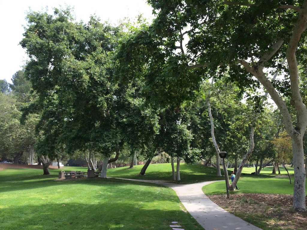 Path through a Brace Canton Park shaded by trees