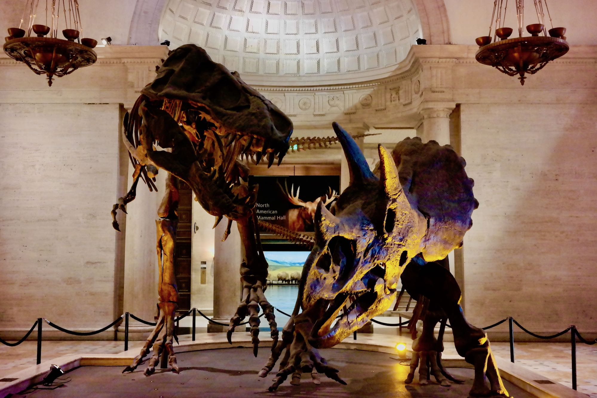 Natural History Museums of Los Angeles County | Explore | Metrolink