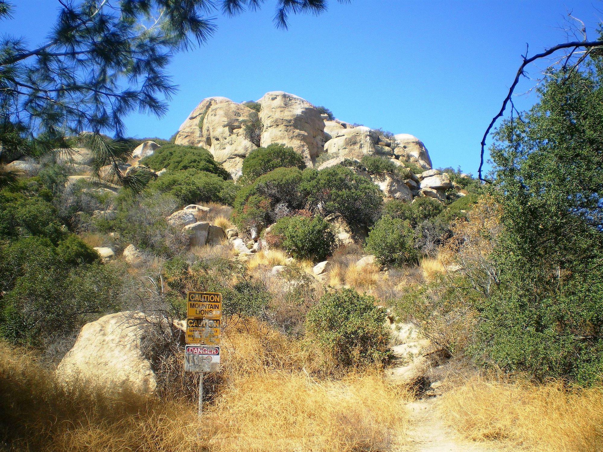Trail with shrubbery and trees with large rock formation coming up through the trees