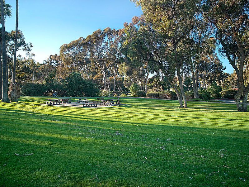Picnic area at Doheny State Beach