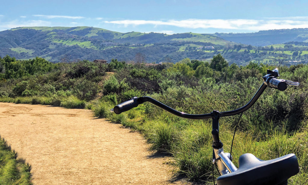 Handlebars of a bicycle on the Mountains to Sea Trail