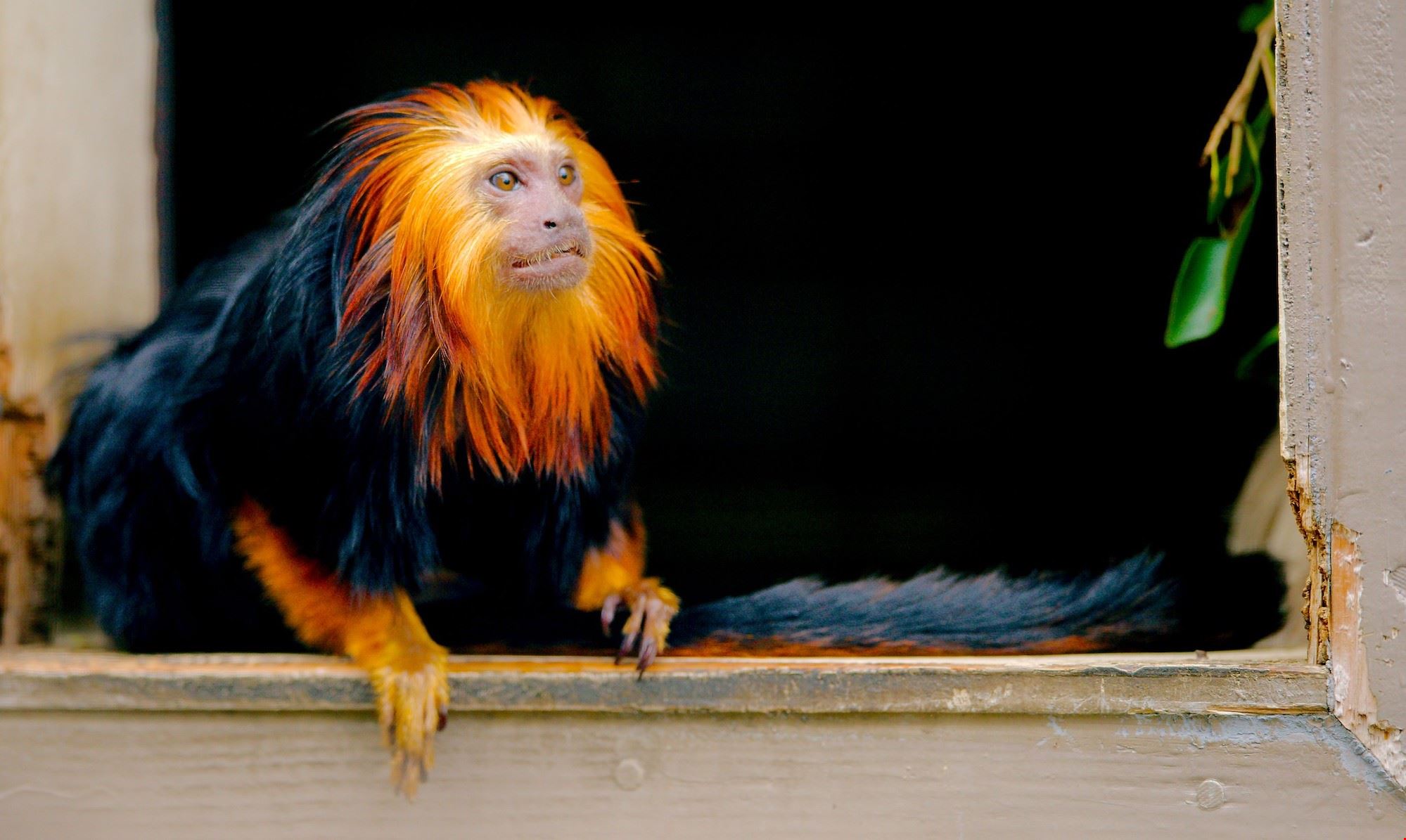 Santa Ana Zoo Explore Metrolink