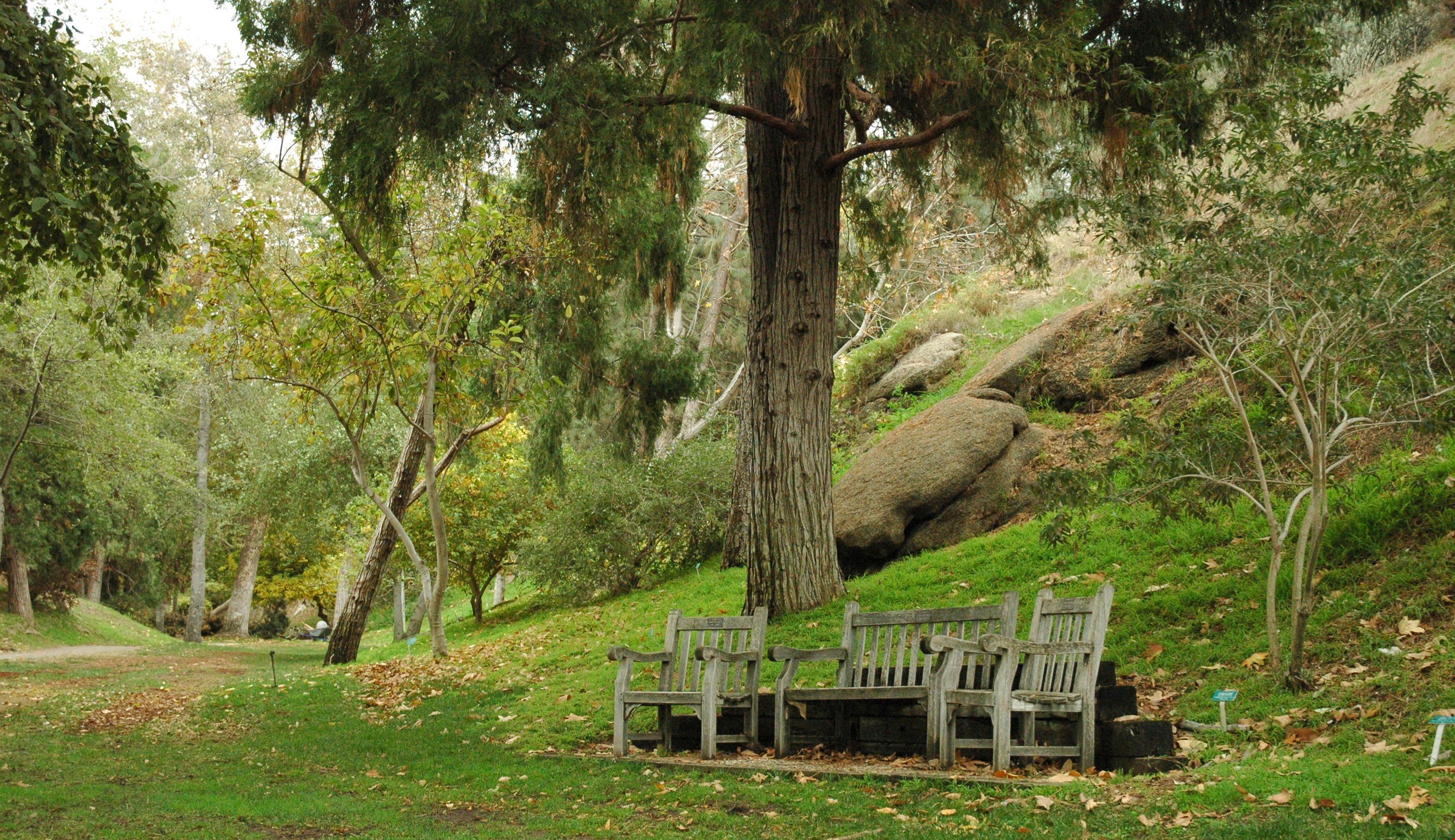 UCR Botanical Gardens: A Living Museum