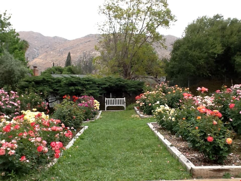 UC Riverside Botanical Garden | Explore | Metrolink