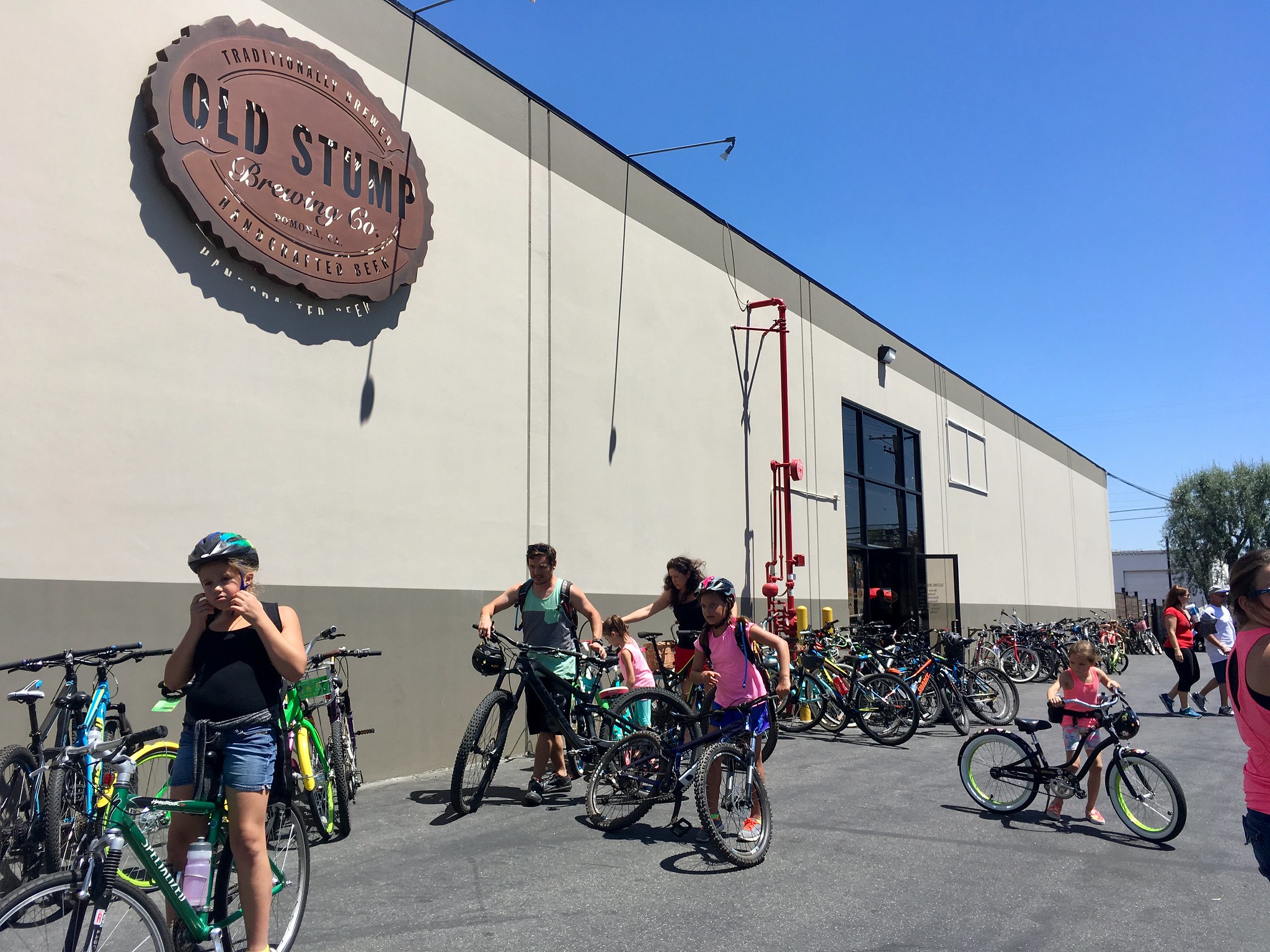 Many bicycles outside Old Stump Brewing Company