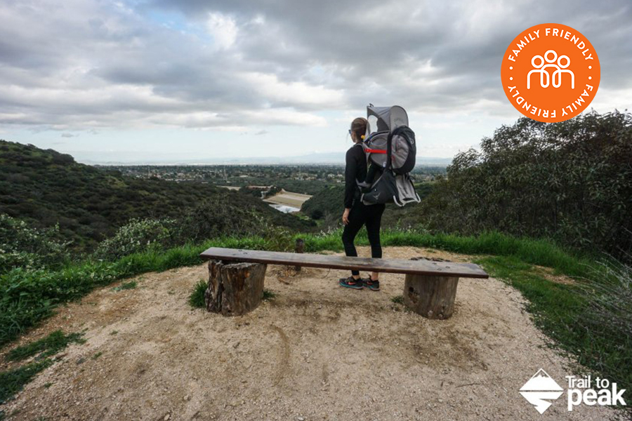 Hiker on a Hill overlooking the city. Image stamped with Family Friendly Badge