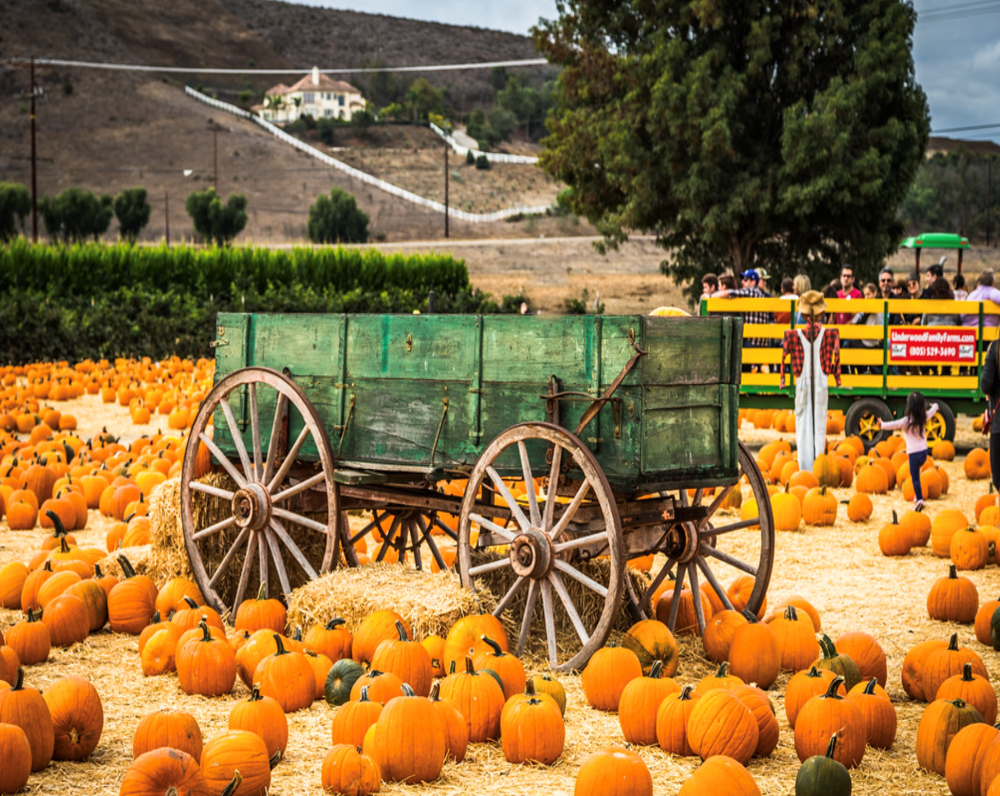 Annual Fall Harvest Festival at Underwood Family Farms